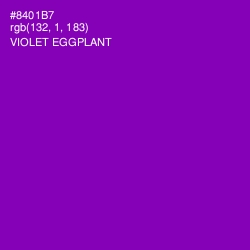 #8401B7 - Violet Eggplant Color Image