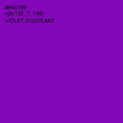 #8407B9 - Violet Eggplant Color Image