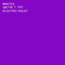 #8407C5 - Electric Violet Color Image