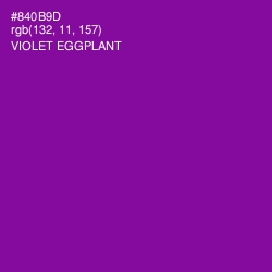 #840B9D - Violet Eggplant Color Image