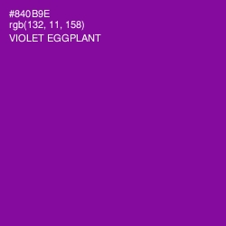 #840B9E - Violet Eggplant Color Image