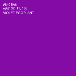 #840BA6 - Violet Eggplant Color Image