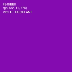 #840BB0 - Violet Eggplant Color Image