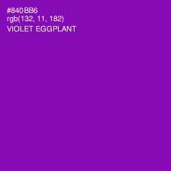 #840BB6 - Violet Eggplant Color Image