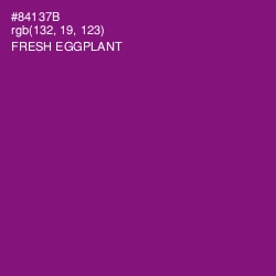 #84137B - Fresh Eggplant Color Image