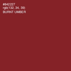 #842227 - Burnt Umber Color Image