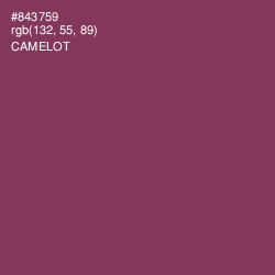 #843759 - Camelot Color Image