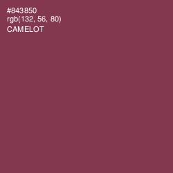 #843850 - Camelot Color Image
