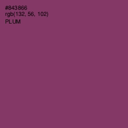 #843866 - Plum Color Image