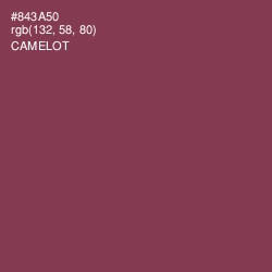 #843A50 - Camelot Color Image