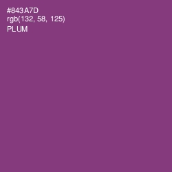 #843A7D - Plum Color Image