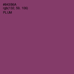 #843B6A - Plum Color Image