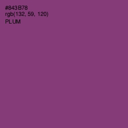 #843B78 - Plum Color Image