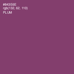 #843E6E - Plum Color Image