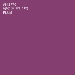 #843F70 - Plum Color Image