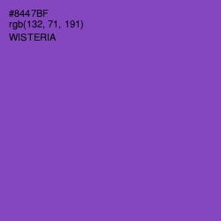 #8447BF - Wisteria Color Image