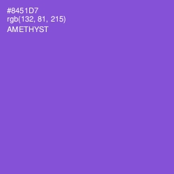 #8451D7 - Amethyst Color Image