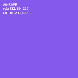 #8459EB - Medium Purple Color Image