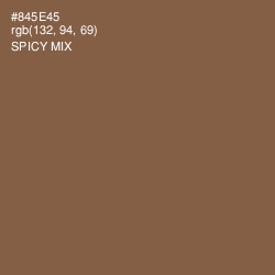 #845E45 - Spicy Mix Color Image