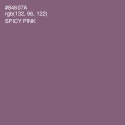 #84607A - Spicy Pink Color Image