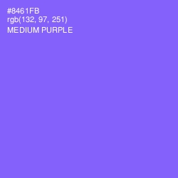 #8461FB - Medium Purple Color Image