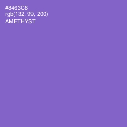 #8463C8 - Amethyst Color Image
