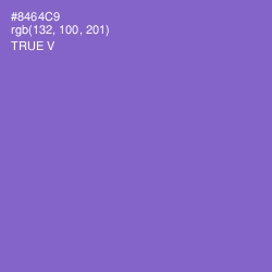 #8464C9 - True V Color Image