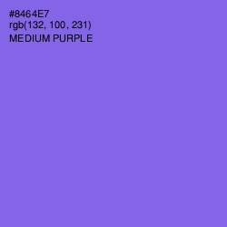 #8464E7 - Medium Purple Color Image