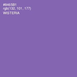 #8465B1 - Wisteria Color Image