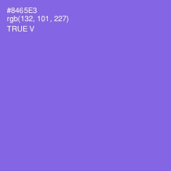 #8465E3 - True V Color Image
