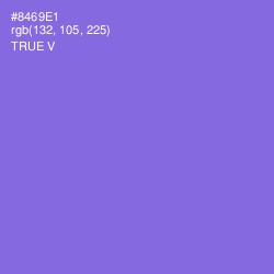 #8469E1 - True V Color Image