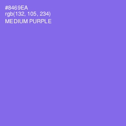 #8469EA - Medium Purple Color Image