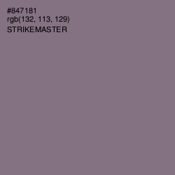 #847181 - Strikemaster Color Image