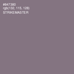 #847380 - Strikemaster Color Image