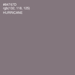 #84767D - Hurricane Color Image