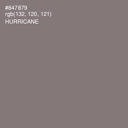 #847879 - Hurricane Color Image