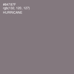 #84787F - Hurricane Color Image