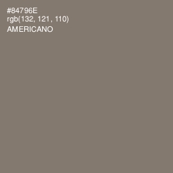 #84796E - Americano Color Image