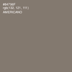 #84796F - Americano Color Image