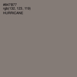 #847B77 - Hurricane Color Image
