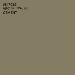 #847C63 - Cement Color Image