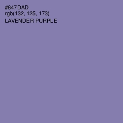 #847DAD - Lavender Purple Color Image