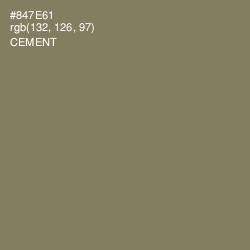 #847E61 - Cement Color Image