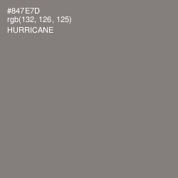 #847E7D - Hurricane Color Image