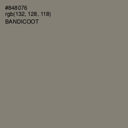 #848076 - Bandicoot Color Image