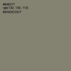 #848271 - Bandicoot Color Image