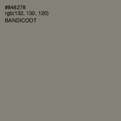 #848278 - Bandicoot Color Image