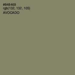 #848469 - Avocado Color Image