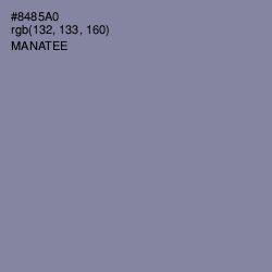 #8485A0 - Manatee Color Image