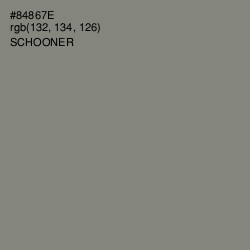#84867E - Schooner Color Image